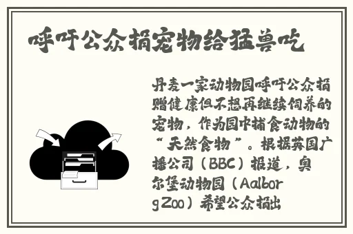 51群众吃瓜必吃大瓜cg